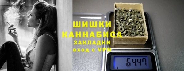 индика Балабаново