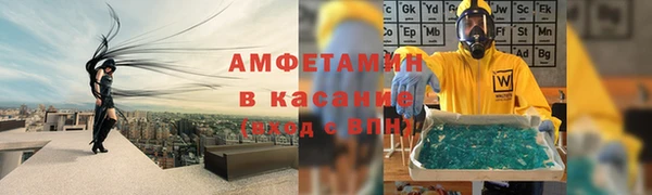 индика Балабаново