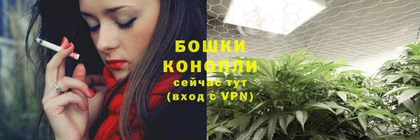 индика Балабаново