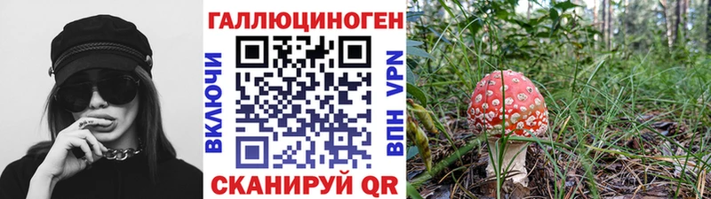 KRAKEN зеркало  Верхнеуральск  Галлюциногенные грибы ЛСД 